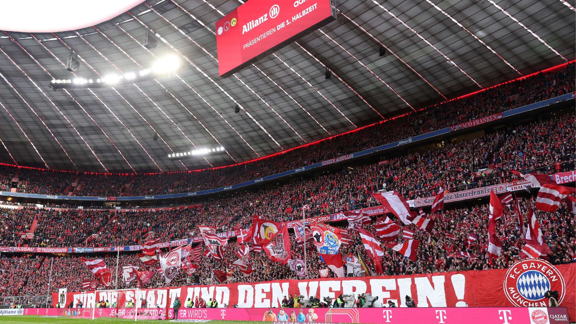 重点培养某 重点培养某