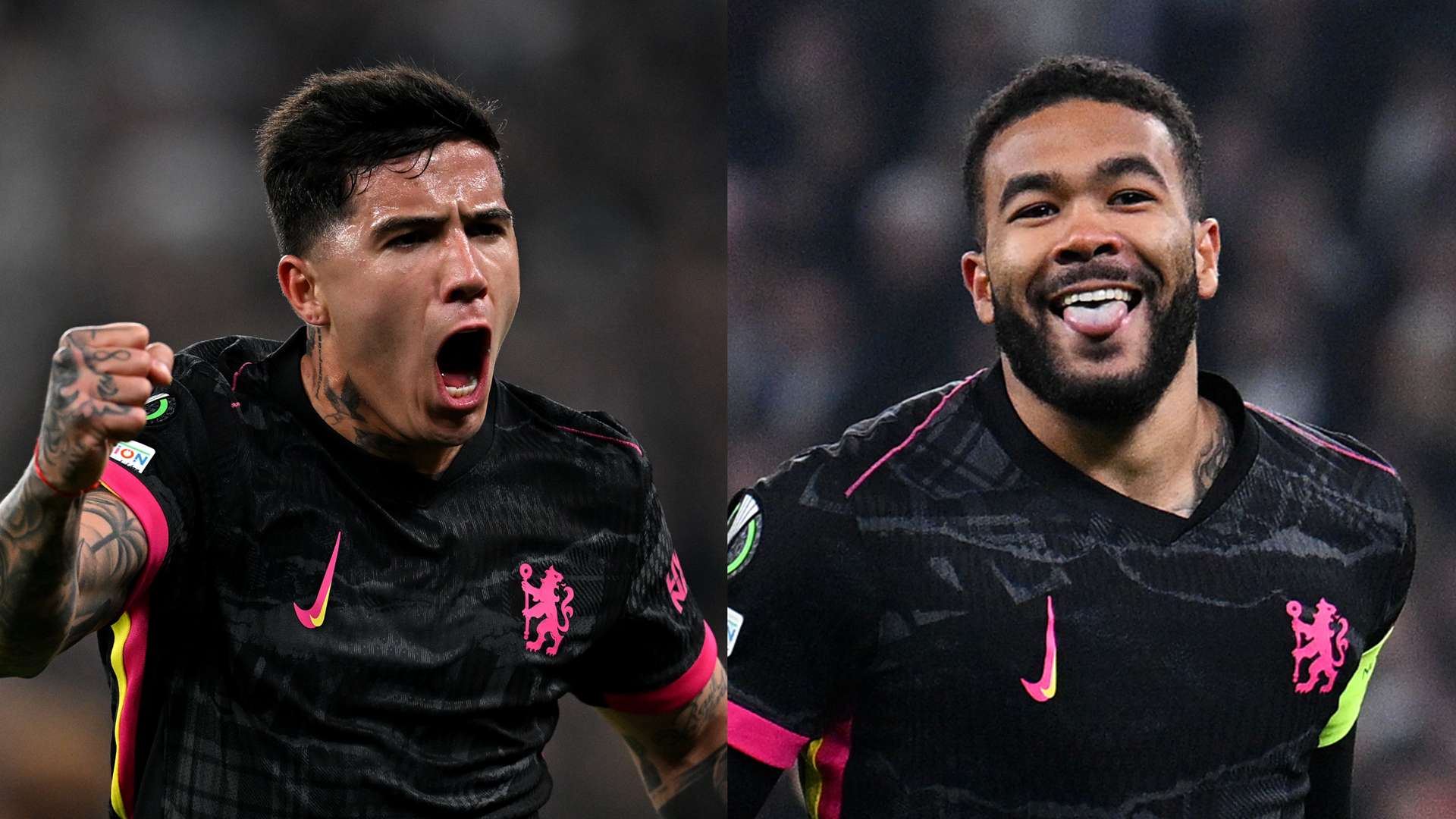 理了一份 理了一份